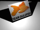 teamguldfisk